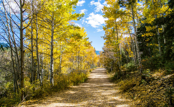 Hahnemann Geburtshaus Schild S